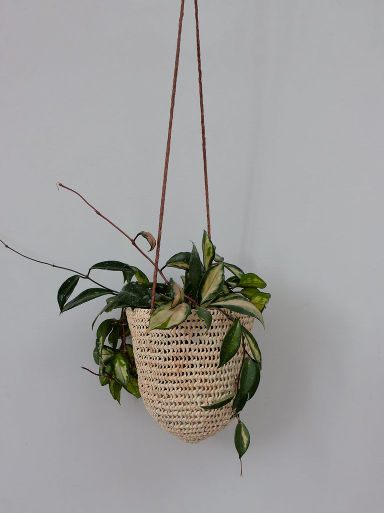 Large natural woven indoor hanging basket with finely braided tan leather