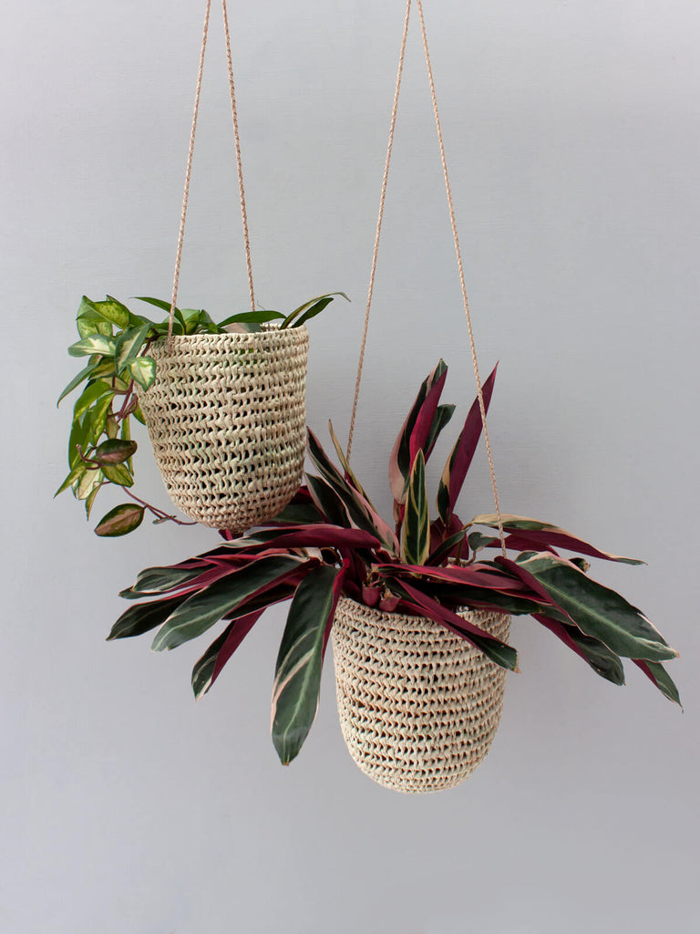 Two dome shaped natural woven indoor hanging baskets with finely braided natural leather thongs