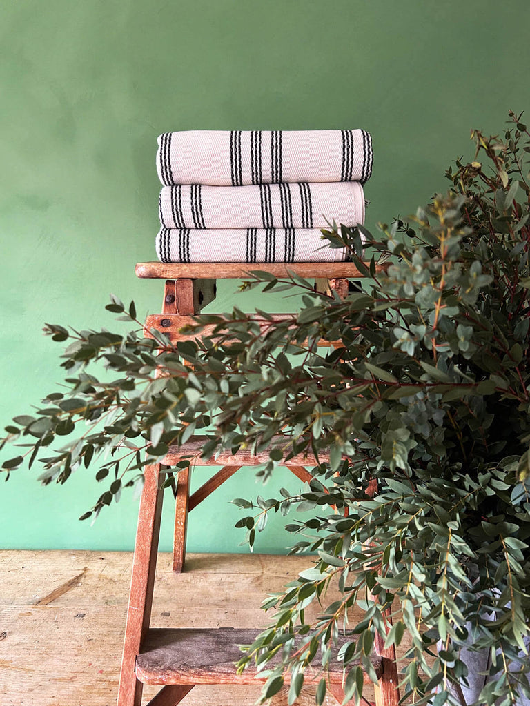Stack of premium Turkish cotton hammam towels with a ticking charcoal stripe, set against a backdrop of a lush green wall and foliage