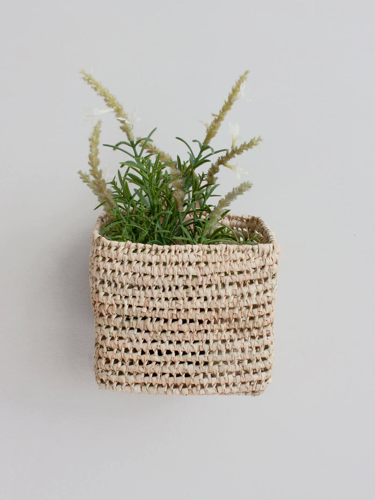 Mini woven wall hanging storage basket with natural open weave design holding an indoor plant