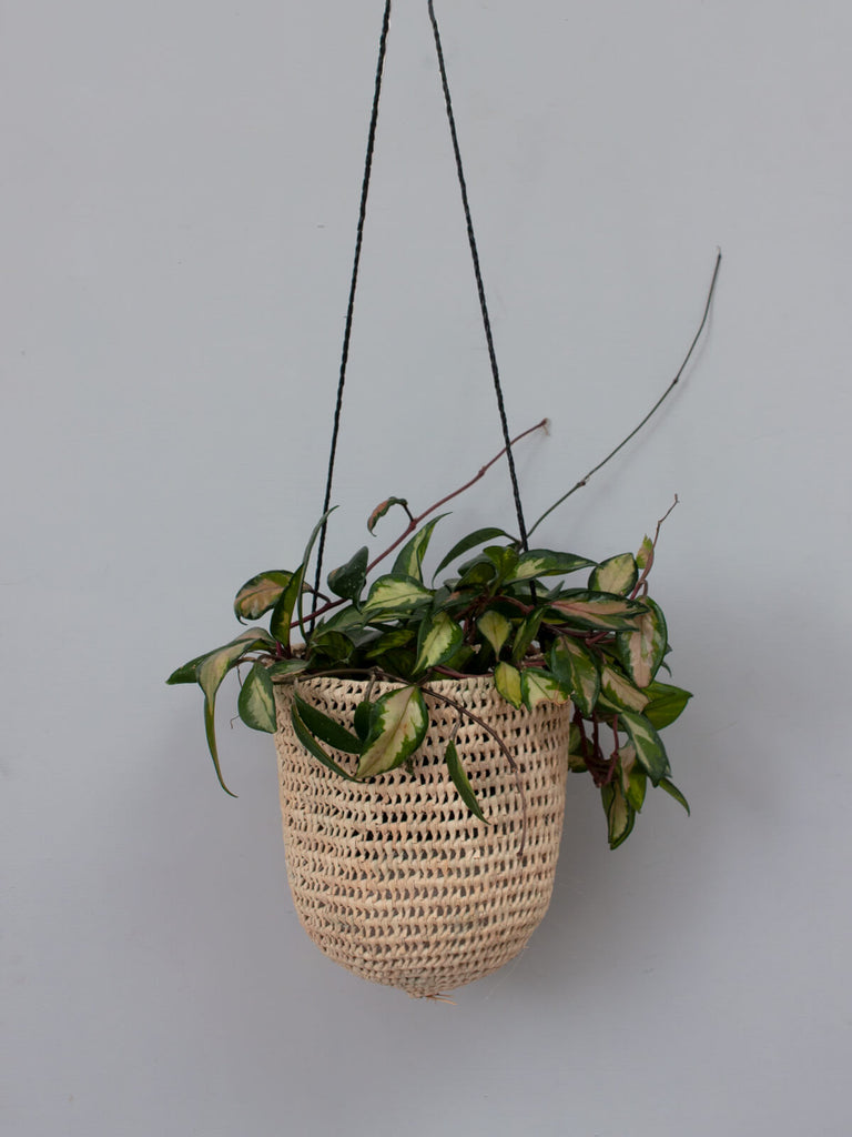 Large natural woven indoor hanging basket with finely braided black leather 