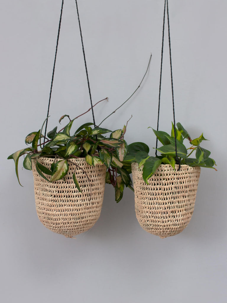 Two dome shaped natural woven indoor hanging baskets with finely braided black leather thongs