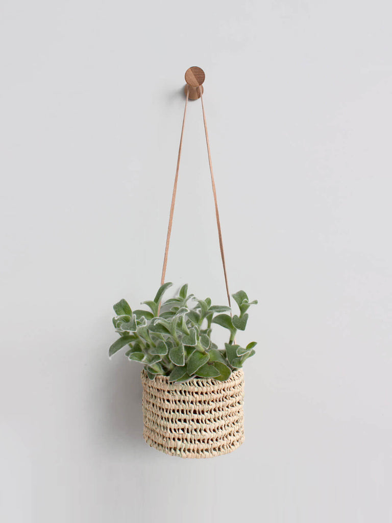 Open Weave Hanging Basket with a houseplant